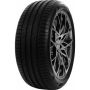 Легковая шина Delinte DS2 245/50 R18 100Y RunFlat